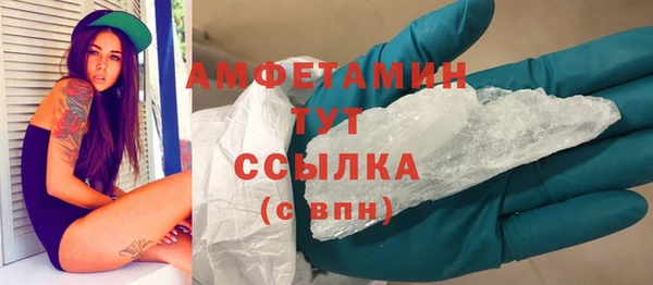 молекула духа Богородицк