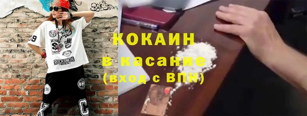 молекула духа Богородицк
