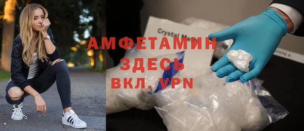 молекула духа Богородицк