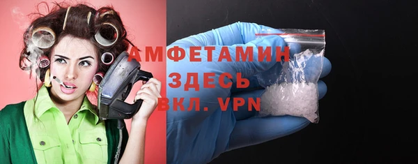 молекула духа Богородицк