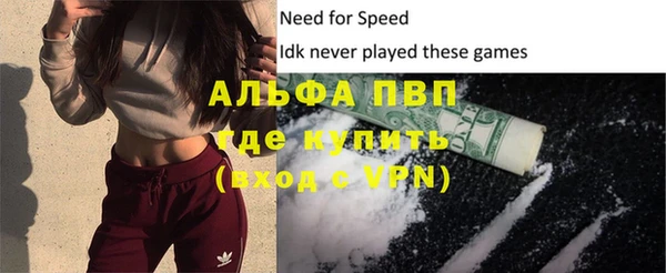 молекула духа Богородицк