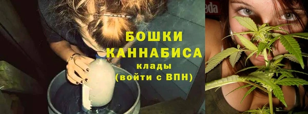 молекула духа Богородицк